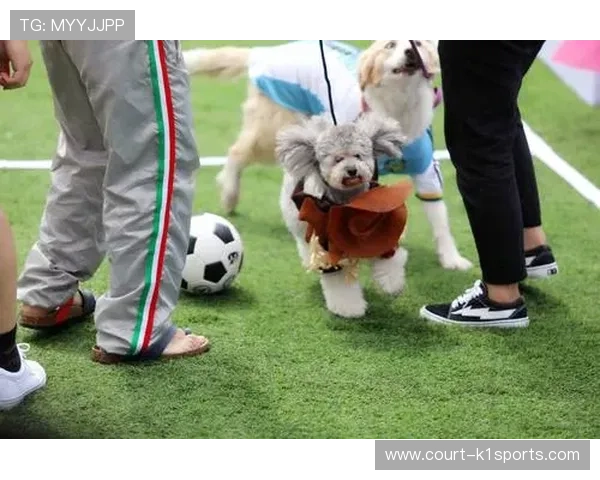 足球球星与爱犬亲密瞬间盘点 十大球员宠物曝光揭秘 足球球星与爱犬亲密瞬间盘点 十大球员宠物曝光揭秘